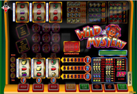 Slotplaza Gokkast Wild Mystery